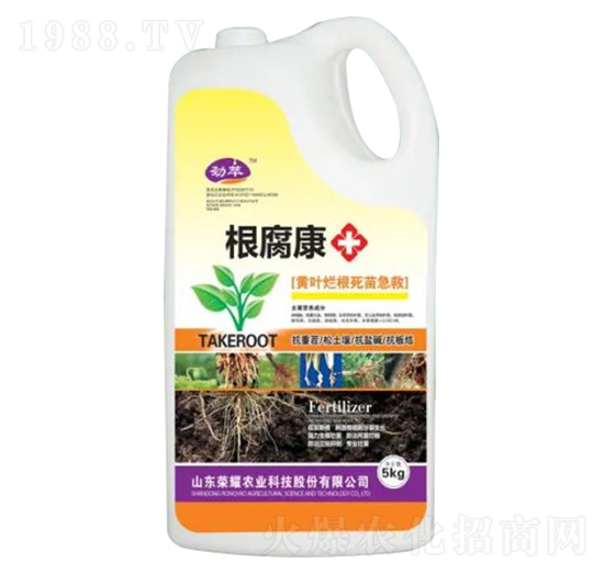 黃葉爛根死苗急救-根腐康-榮耀農(nóng)業(yè)