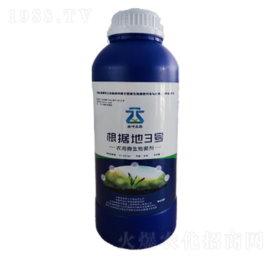 根據(jù)地3號(hào)-云葉生物