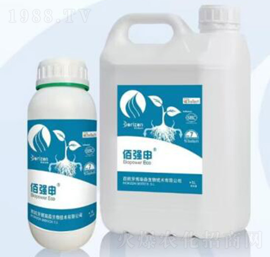 佰強(qiáng)申-?？颂m德