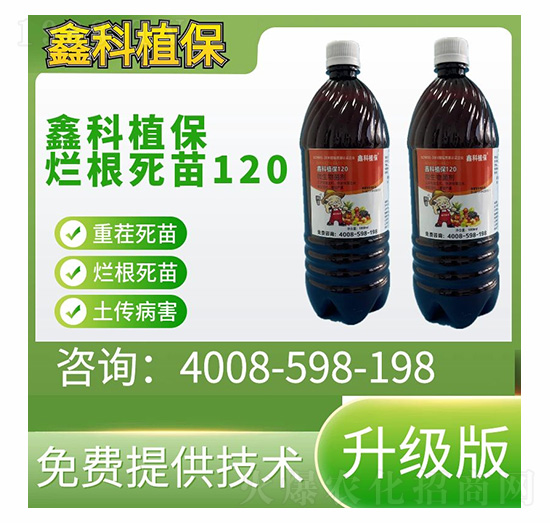 �����栀������120-�ο�ֲ��