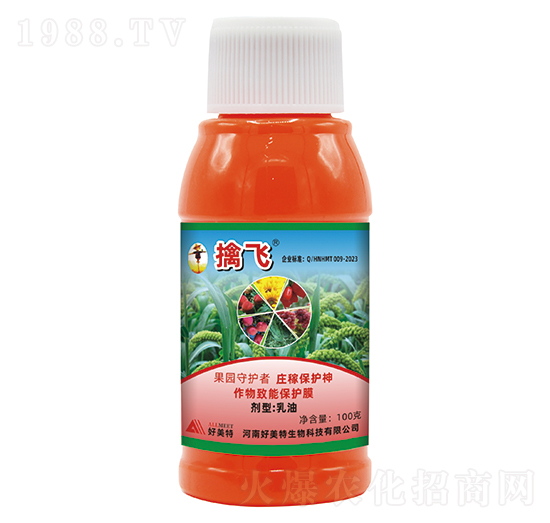 ���w��B�������ͣ�-������