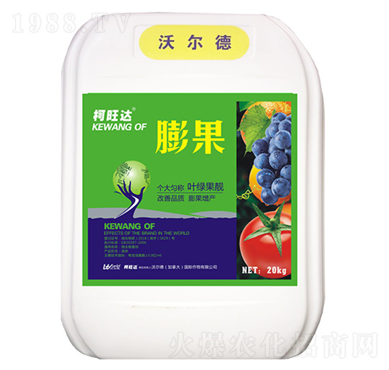 ���-�����_-�֠����r�I(y��)