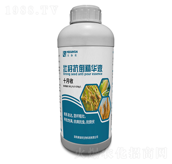 ���ѿ������AҺ-ʮ����-��٤�z