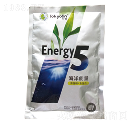 ���徫+�~����-��������5-�����r�I(y��)