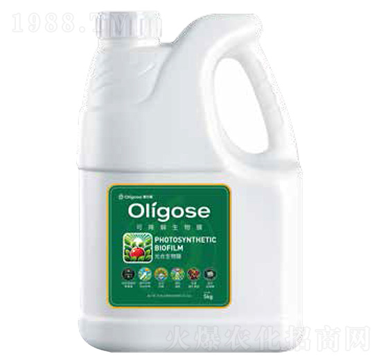 �ɽ���������Ĥ-������