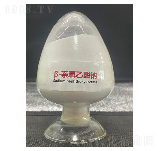 ��-���������c-��������