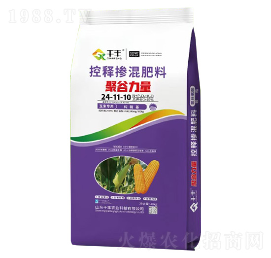 玉米專用控釋摻混肥料24-11-10-聚谷力量-千豐農(nóng)業(yè)