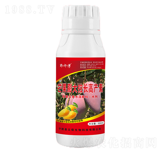 芒果膨大拉長精華素-郭師傅-立信生物