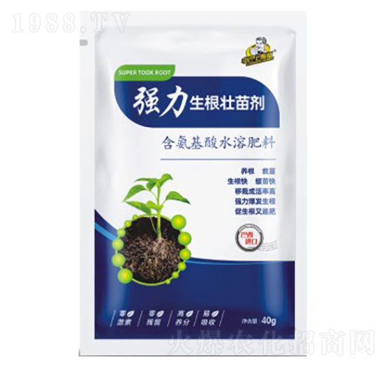 ��(qi��ng)���������焩-��˹��