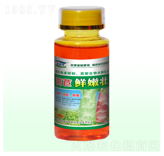 萵苣鮮嫩壯-富源祥肥業(yè)