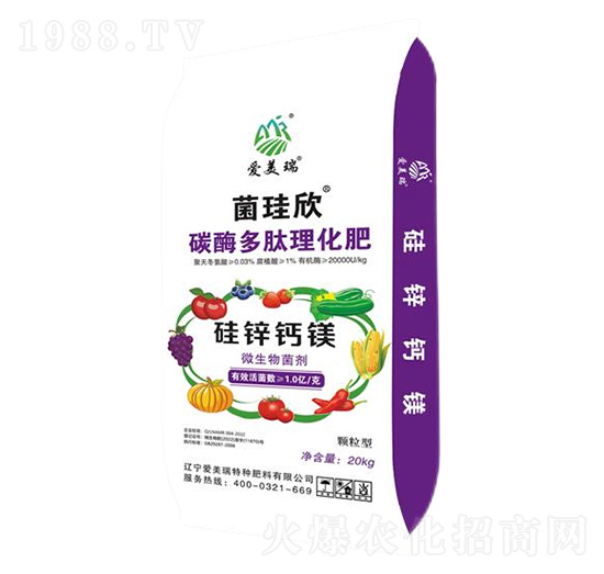 ���\�}�V̽÷����������-������-��(��i)����