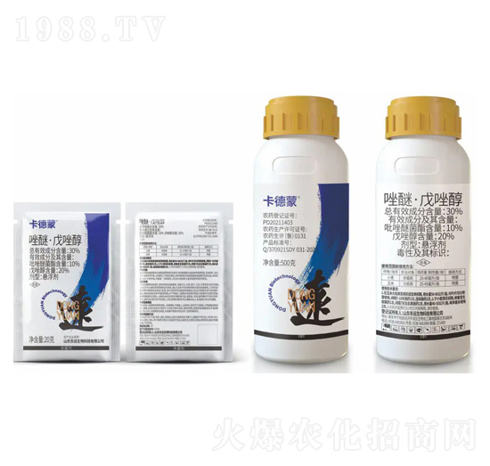 30%���ѡ����򴼑Ҹ���-������-�|�h����