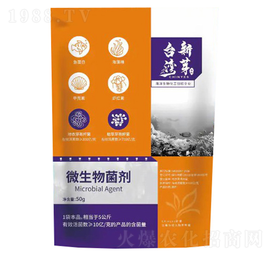 枯草芽孢桿菌-恩正