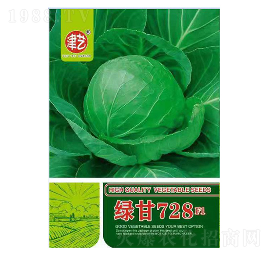 甘藍(lán)種子-綠甘728-邯豐農(nóng)業(yè)