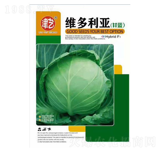 甘藍種子-維多利亞-邯豐農(nóng)業(yè)