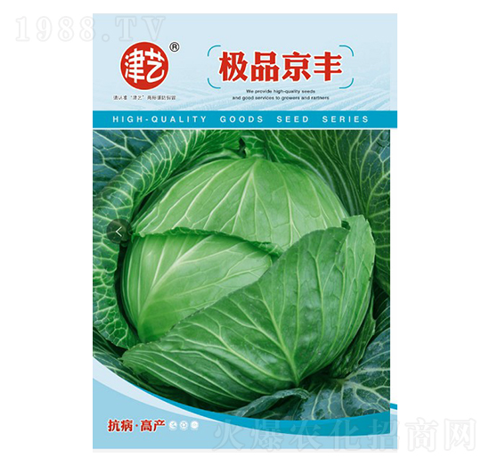 甘藍(lán)種子-京豐-邯豐農(nóng)業(yè)