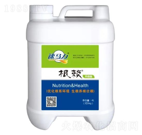 4L根賴-中澳西農