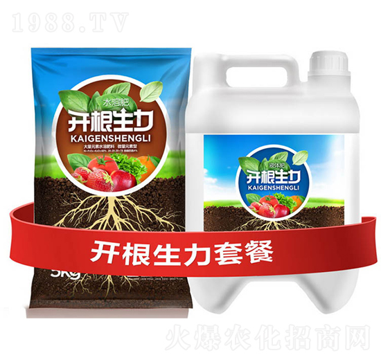 開根生力套餐C-云大科技