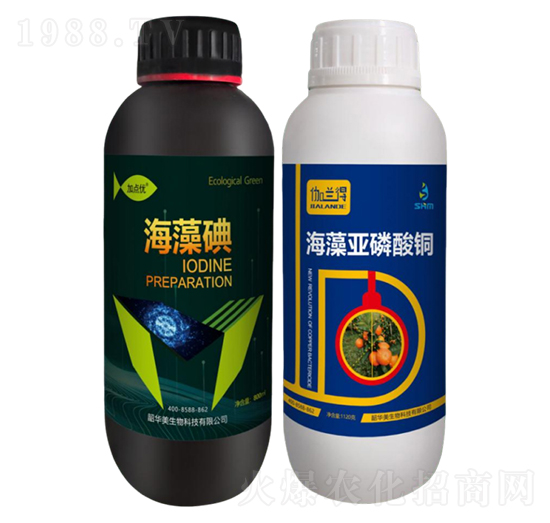 柑橘潰瘍套餐1號-韶華美