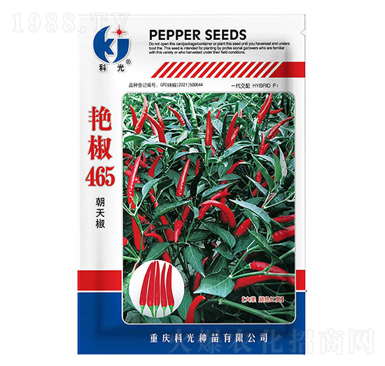 艷椒465辣椒種子-科光種苗