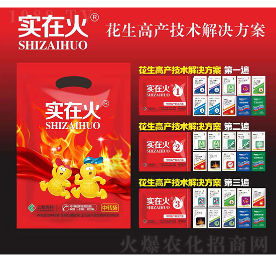 花生高產技術解決方案-實在火-紅太陽