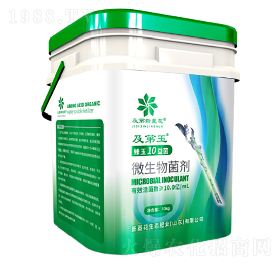 ΢�������-������-���⻨