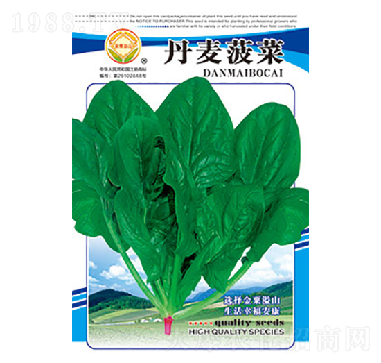 菠菜種子-丹麥菠菜-太樂種業(yè)