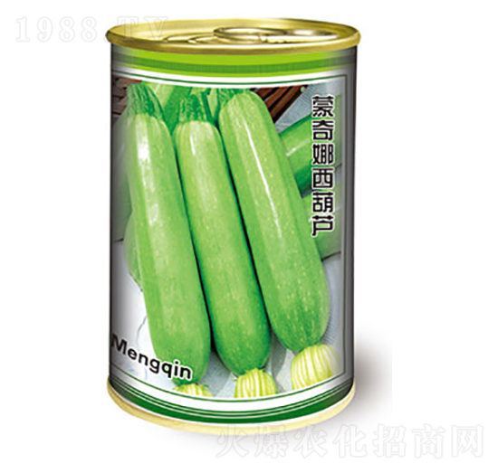 西葫蘆種子-蒙奇娜西葫蘆-太樂種業(yè)