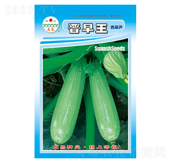 西葫蘆種子-晉早王-太樂(lè)種業(yè)