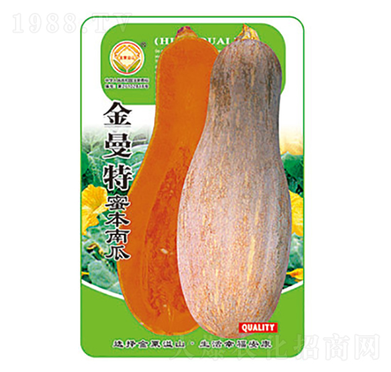 南瓜種子-金曼特-太樂種業(yè)