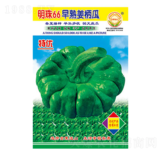 姜柄瓜種子-明珠66-太樂種業(yè)