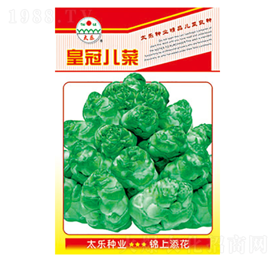 兒菜種子-皇冠兒菜-太樂(lè)種業(yè)
