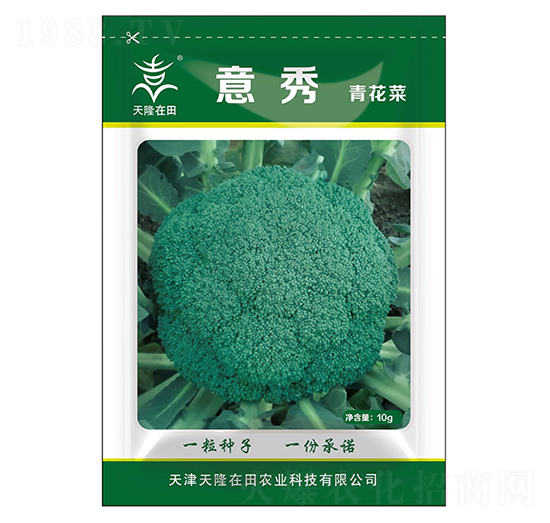 青花菜種子-意秀-天隆農(nóng)業(yè)
