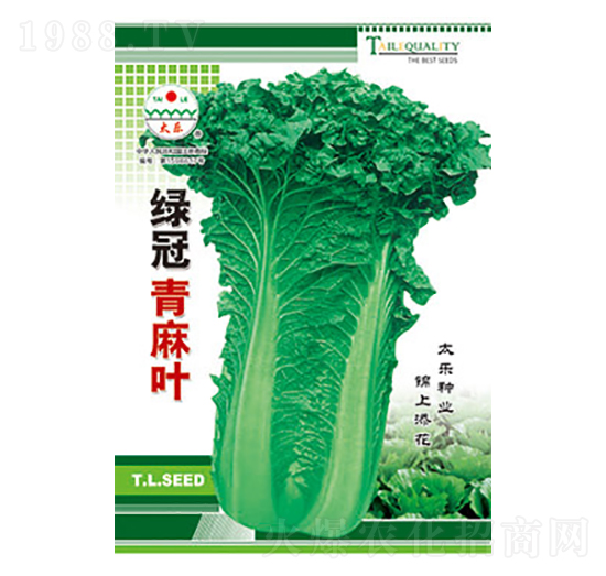 白菜種子-綠冠青麻葉-太樂(lè)種業(yè)