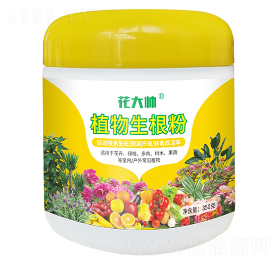 植物生根粉-花大帥-綠沃肥業(yè)