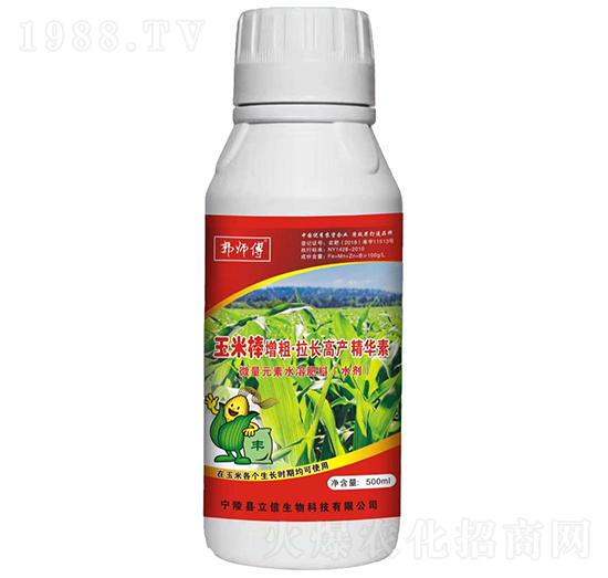 玉米棒增粗·拉長(zhǎng)高產(chǎn)精華素-郭師傅-立信生物