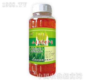 潤(rùn)田-小麥灌漿增產(chǎn)寶