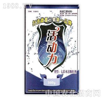 新啟力-活動(dòng)力