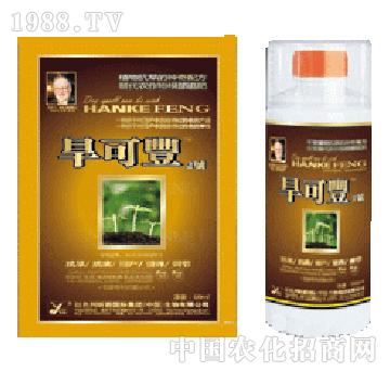 꿾�-�����S