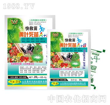 潤(rùn)田-快救苗黃葉死苗A+B