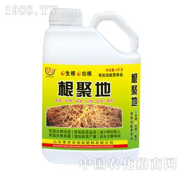 ��(r��n)��-���۵�