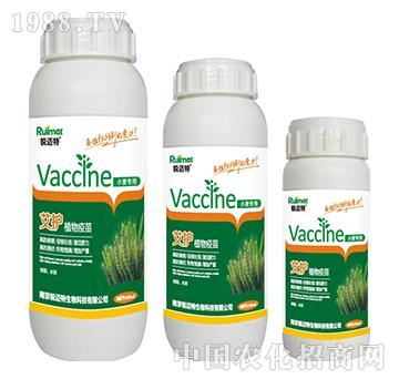 ���o(h��)ֲ������С����(zhu��n)��-�J�~��