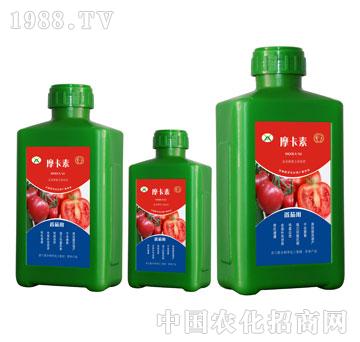 ���ь��ð���������Һ��