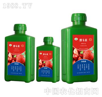 ��ݮ���ð���������Һ��