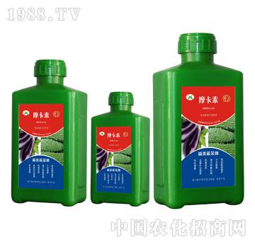 ����߲ˌ��ð���������