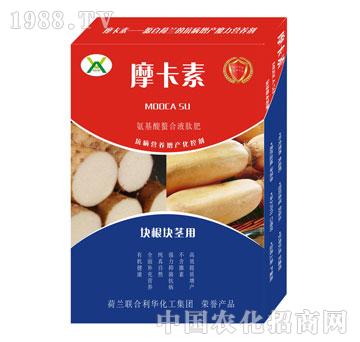 �K���K�o���ð���������