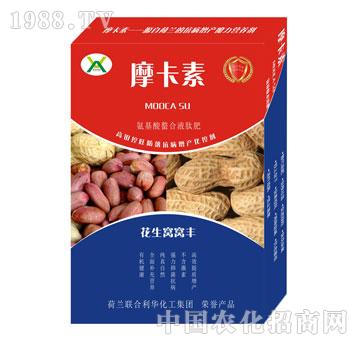 �����C�C�S����������Һ