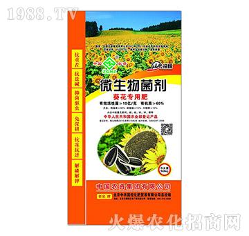 ������(zhu��n)��΢�������-���r(n��ng)