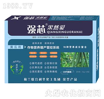 �S���Ï�о��Ȼ���~���