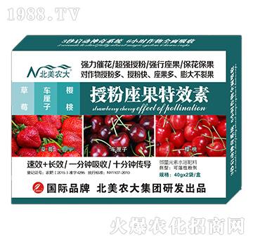 ��ݮ��܇?y��n)��ӡ������ڷ�������Ч�?�����r(n��ng)��